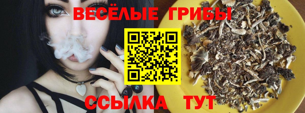 Дзержинский  Галлюциногенные грибы мицелий  Вход с VPN 